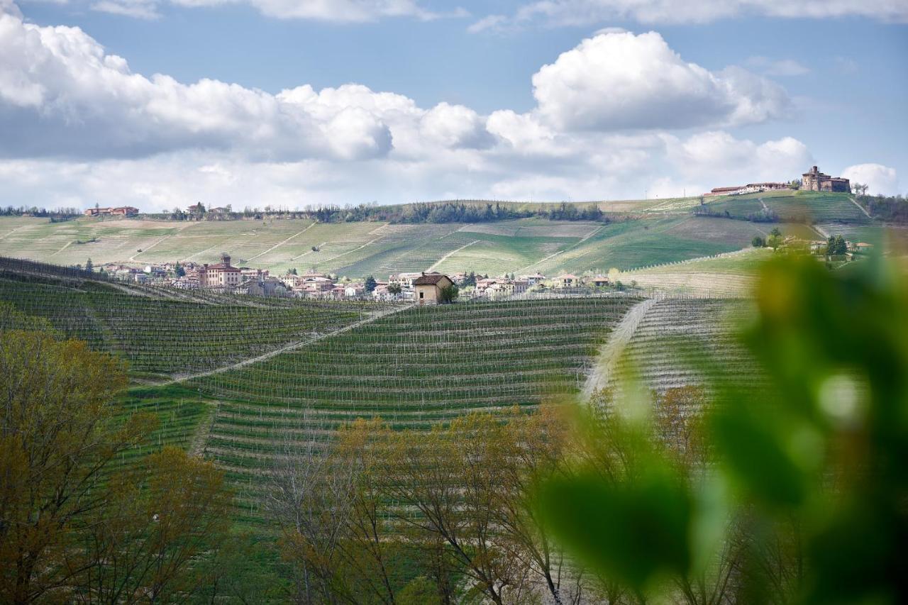 Agriturismo Cascina Sciulun 몬포르테달바 외부 사진